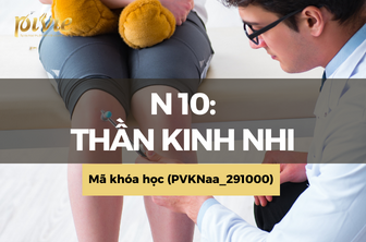 N10: Thần kinh nhi (PVKNaa_291000)