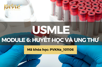 Module 6: Huyết học và Ung thư (Hematology and Oncology) (PVKNa_101106)