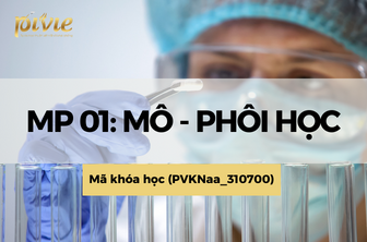 MP01: Mô - Phôi học (PVKNaa_310700)