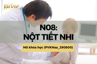 N08: Nội tiết nhi (PVKNaa_290800) 