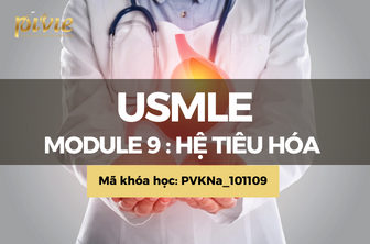 Module 9: Hệ tiêu hóa (Gastrointestinal System) (PVKNa_101109)