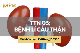 TTN03: Bệnh lý cầu thận (PVKNaa_100300)