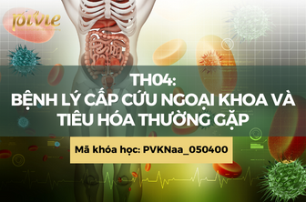 TH04: Bệnh lý cấp cứu và ngoại khoa tiêu hóa thường gặp (PVKNaa_050100)