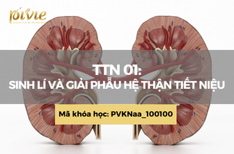 TTN01: Sinh lý và giải phẫu hệ thận tiết niệu (PVKNaa_100100)