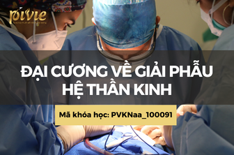 TK01: Giải phẫu hệ thần kinh (PVKNaa_120100)