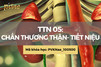 NTTN01: Chấn thương thận- tiết niệu (PVKNaa_100500)