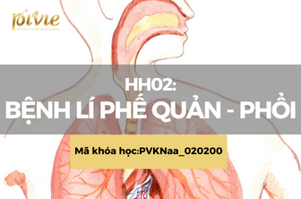 HH02: Bệnh lý phế quản - phổi (PVKNaa_020200)