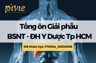 Tổng ôn Giải phẫu - kì thi Bác sĩ Nội trú trường Đại học Y Dược Tp HCM (PVKNa_0000006)