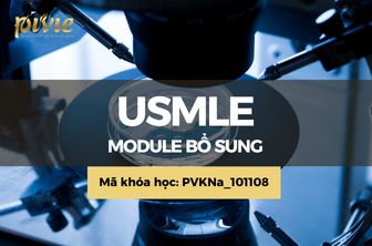 Module bổ sung: Dành cho học viên đăng ký trước 11/2024