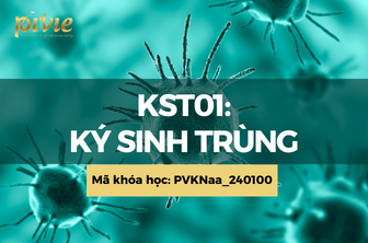 KST01: Ký sinh trùng (PVKNaa_240100)