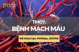 TM07: Bệnh mạch máu (PVKNaa_010700)