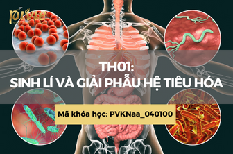 TH01: Sinh lý và giải phẫu hệ tiêu hóa (PVKNaa_040100)