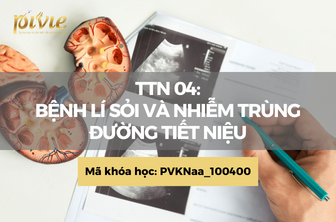 TTN04: Bệnh lý sỏi và nhiễm trùng đường tiết niệu (PVKNaa_100400)