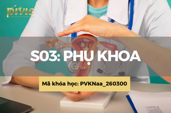 S03: Phụ khoa (PVKNaa_260300)