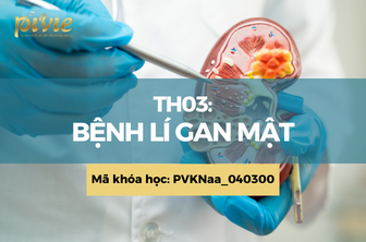 TH03: Bệnh lý gan mật (PVKNaa_040300)