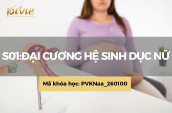 S01: Đại cương hệ sinh dục nữ (PVKNaa_260100)