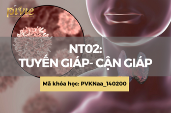 NT02: Tuyến giáp - cận giáp (PVKNaa_140200)