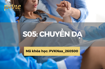 S05: Chuyển dạ (PVKNaa_260500)