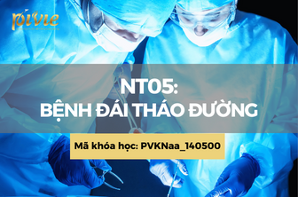 NT05: Bệnh đái tháo đường (PVKNaa_140500)