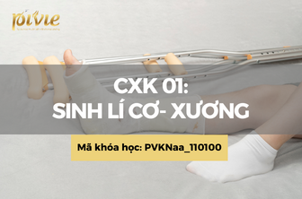 CXK01: Sinh lý cơ- xương (PVKNaa_110100) 