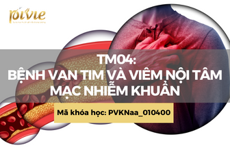 TM04: Bệnh van tim và viêm nội tâm mạc nhiễm khuẩn (PVKNaa_010400)