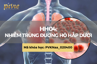 HH04: Nhiễm trùng đường hô hấp dưới (PVKNaa_020400)