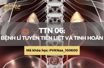 TTN 06: Bệnh lí tuyến tiền liệt  (PVKNaa_100600)