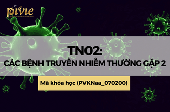 TN02: Các bệnh truyền nhiễm thường gặp 2 (PVKNaa_070200)