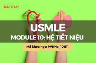 Module 10: Hệ tiết niệu (Renal and Urology System) (PVKNa_101111)