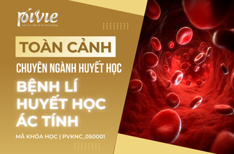 Bệnh lí huyết học ác tính (PVKNC_050001)