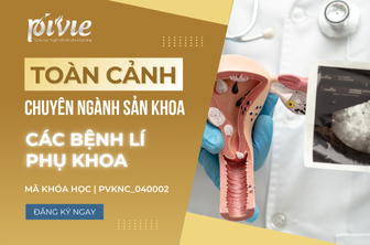 Các bệnh lí phụ khoa (PVKNC_040002)