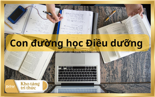 Ngành Điều dưỡng là gì? Thông tin và cơ hội việc làm về ngành Điều dưỡng 