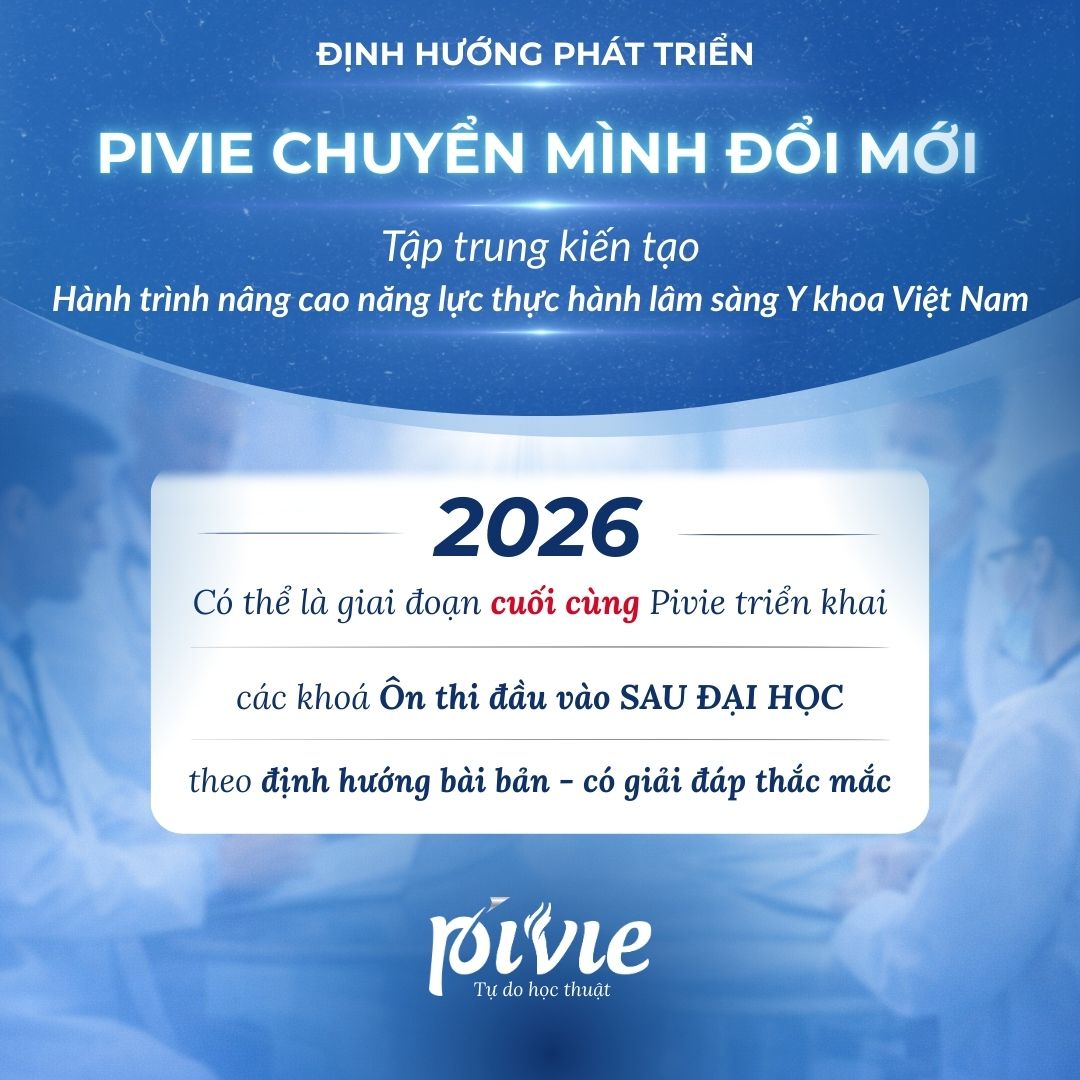 THÔNG BÁO ĐỊNH HƯỚNG PHÁT TRIỂN PIVIE TRONG GIAI ĐOẠN MỚI