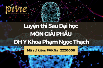 Luyện thi Sau Đại học - Môn Giải Phẫu - Đại học Y khoa Phạm Ngọc Thạch (PVKNa_2220006)