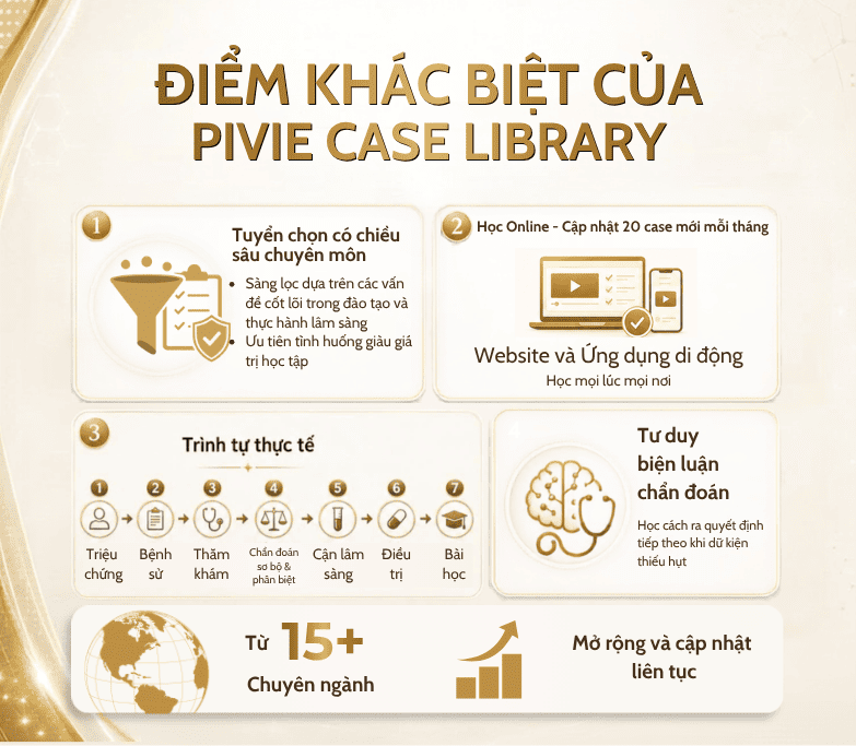 Pivie trân trọng giới thiệu 